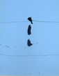 Shanahan_Untitled_th