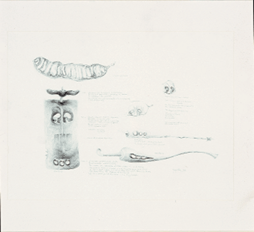 Marie Foley – Seed Vessels
