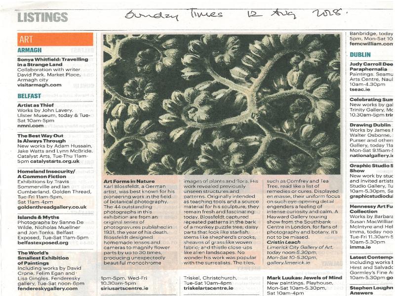 Karl Blossfeldt Sunday Times Review
