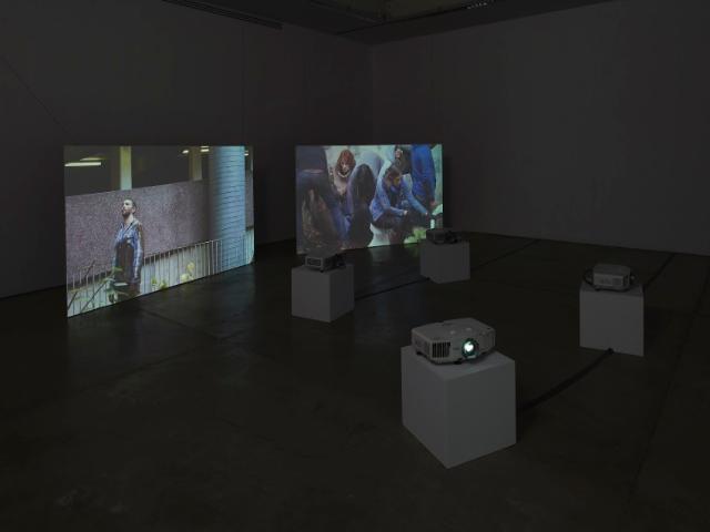 Light Moves Festival of Screendance images