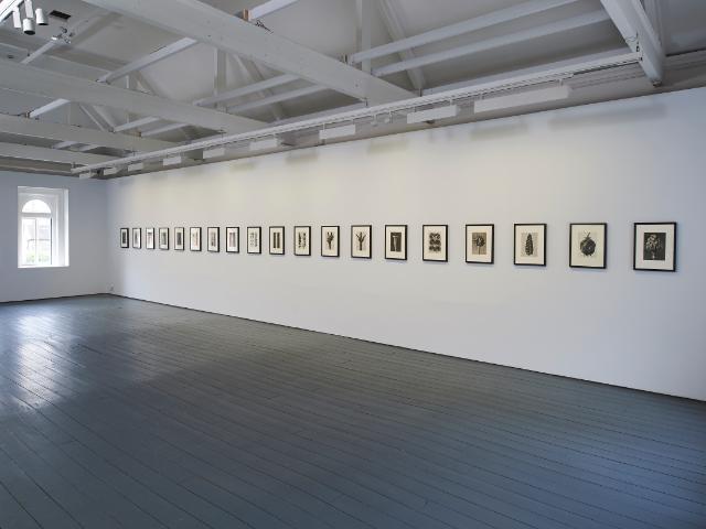 Karl Blossfeldt_LCGA